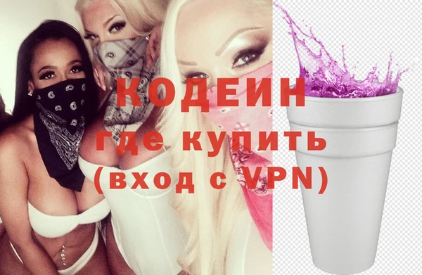 стаф Балахна