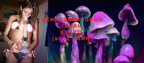 стаф Балахна