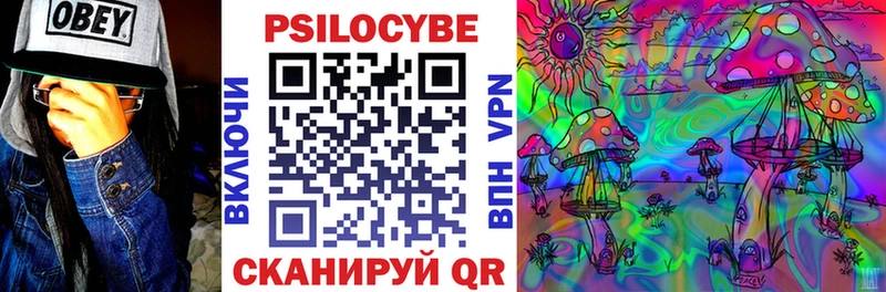 Псилоцибиновые грибы Psilocybine cubensis где найти наркотики OMG tor Олёкминск